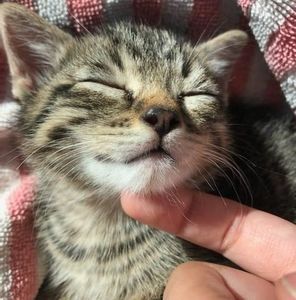 Meet your Posher, Carolyn